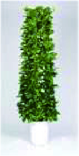 植栽 大
